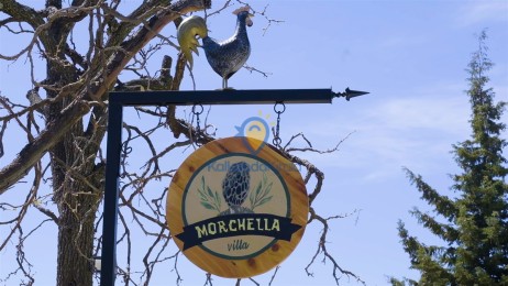 Villa Morchella